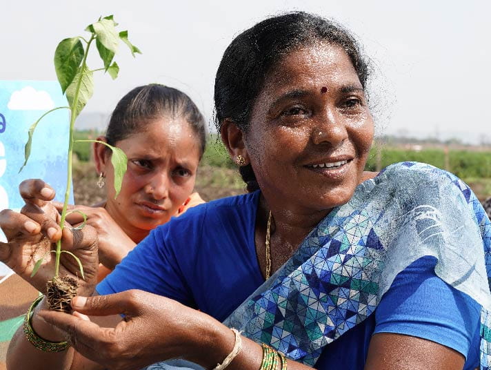 Woman farmer; gender equality in supply chain