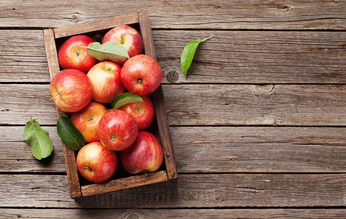 Goût et tradition : recette avec des pommes
