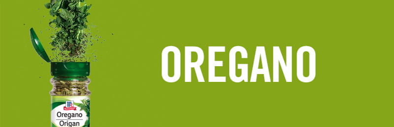 Oregano - Das vielseitige Kraut