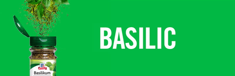 Basilic - L'herbe aromatique