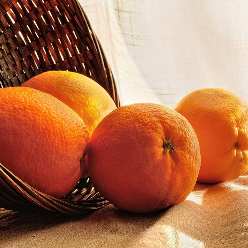 Tourte aux oranges et aux macarons