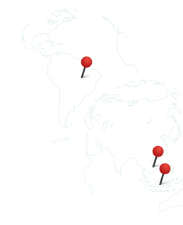 Black Pepper:<br>Did You Know?