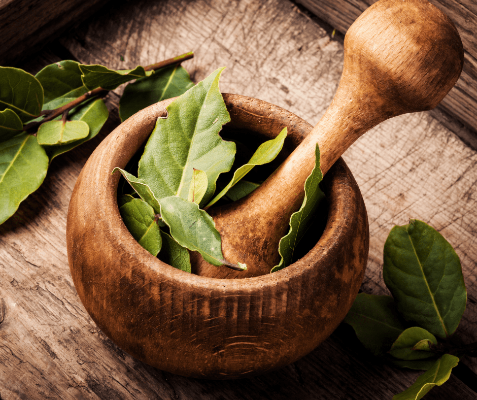 MSI Funded Paper - Bay Leaf: Potential Health Benefits