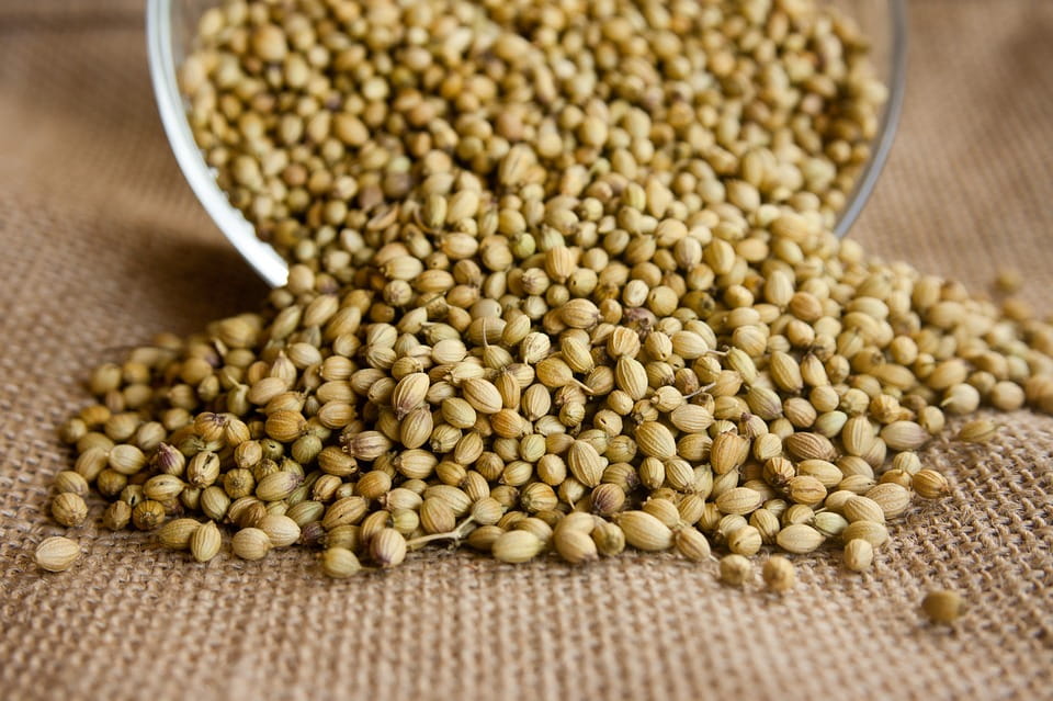 MSI Funded Paper: Coriander: Overview of Potential Health Benefits