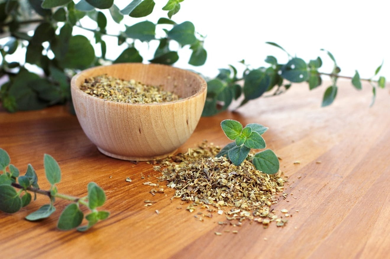 MSI Funded Paper Potential Health Benefits of Oregano McCormick