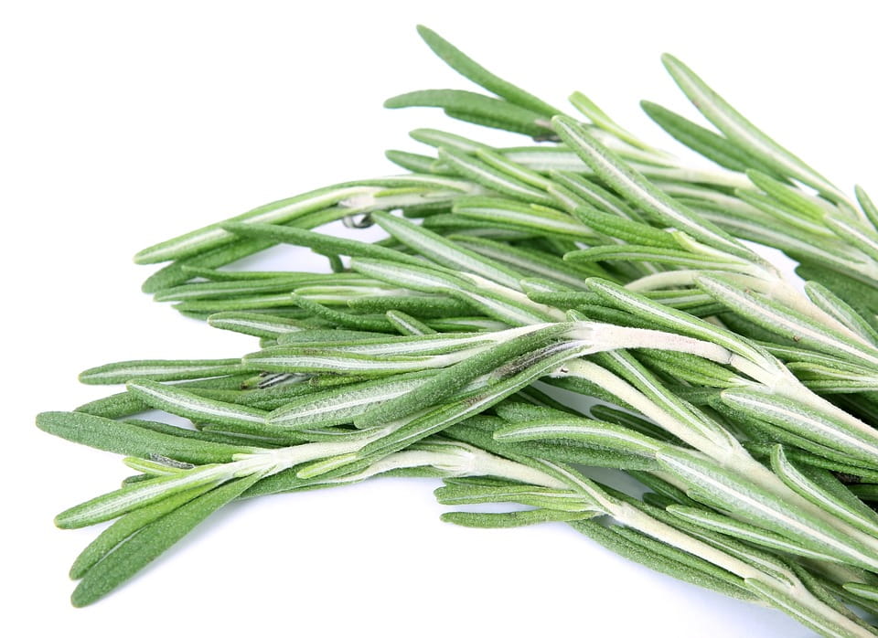MSI Funded Paper: Rosemary: An Overview of Potential Health Benefits