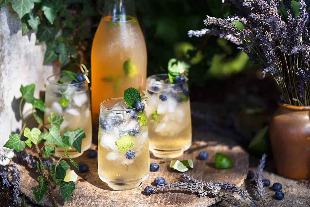 cocktail-with-lavender-and-blueberries-fresh-drink-