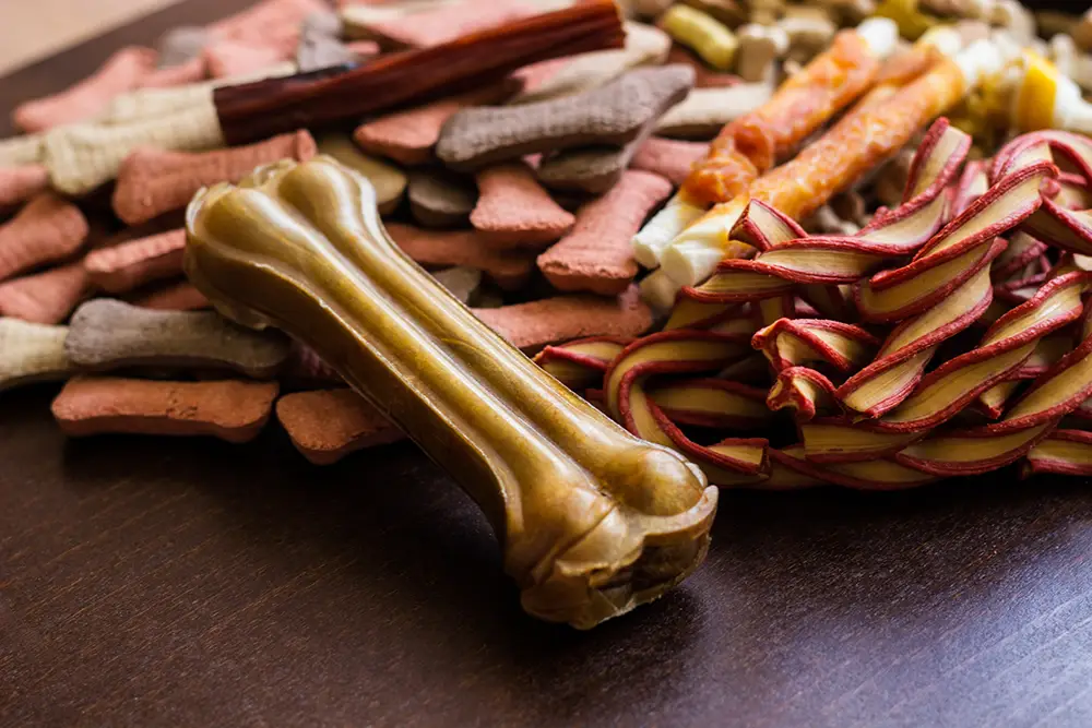 dog-treats-close-up-with-bacon-bone-flavored