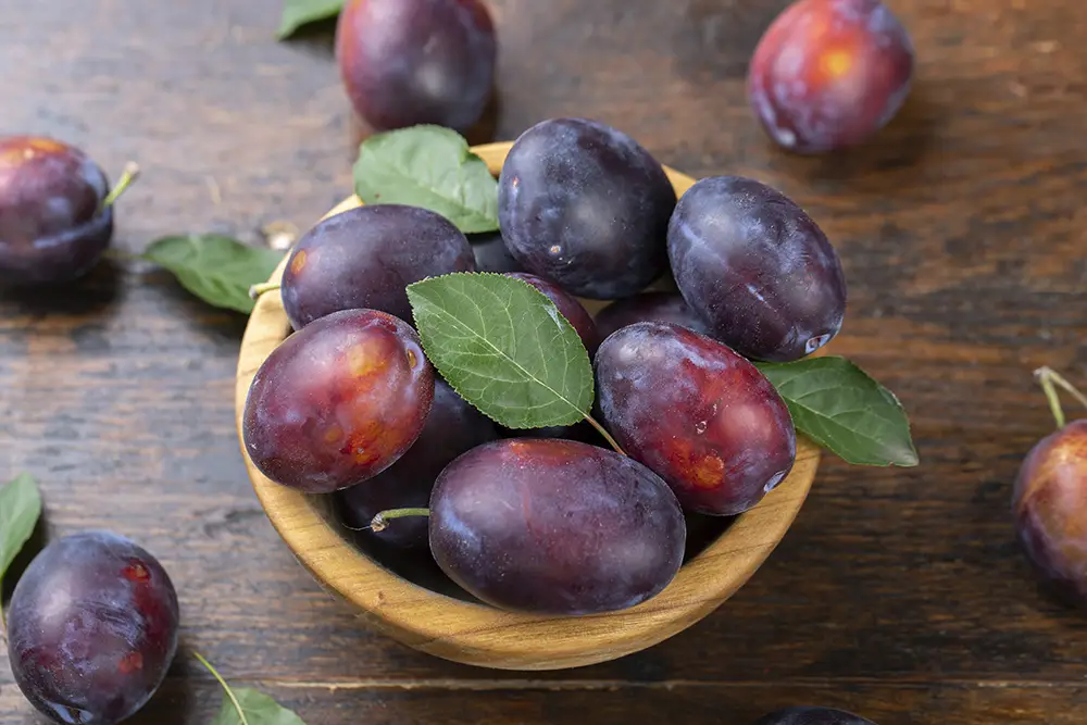plums-in-bowl-2