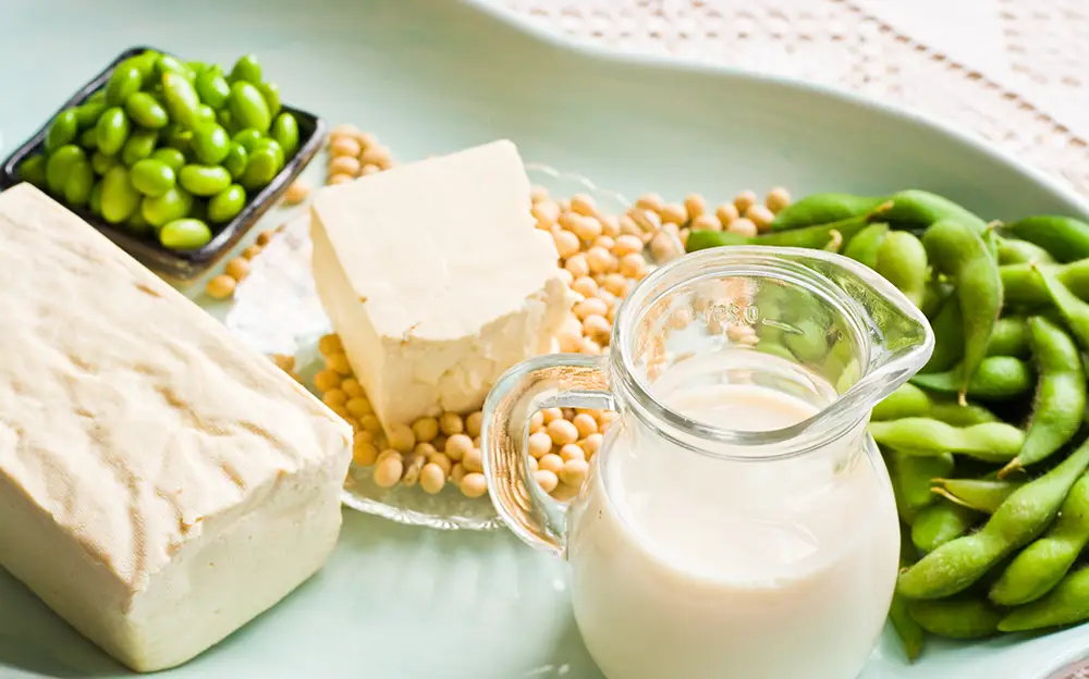 soy-milk-soy-bean-plant-based-close-up-