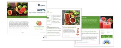 Guava-03232