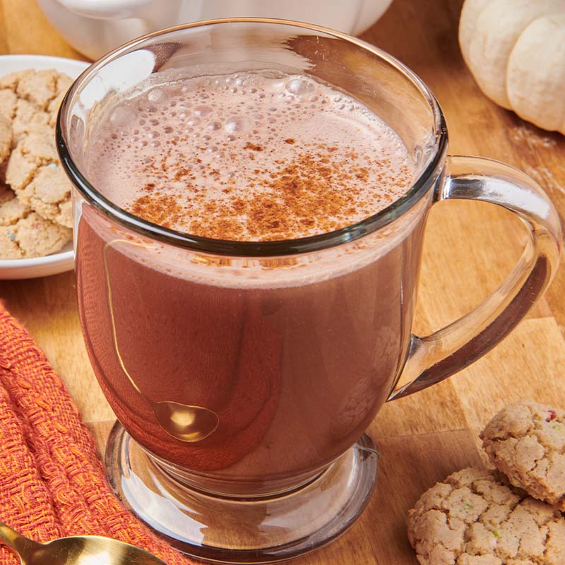 Pumpkin Pie Spiced Hot Chocolate with Coconut Milk McCormick