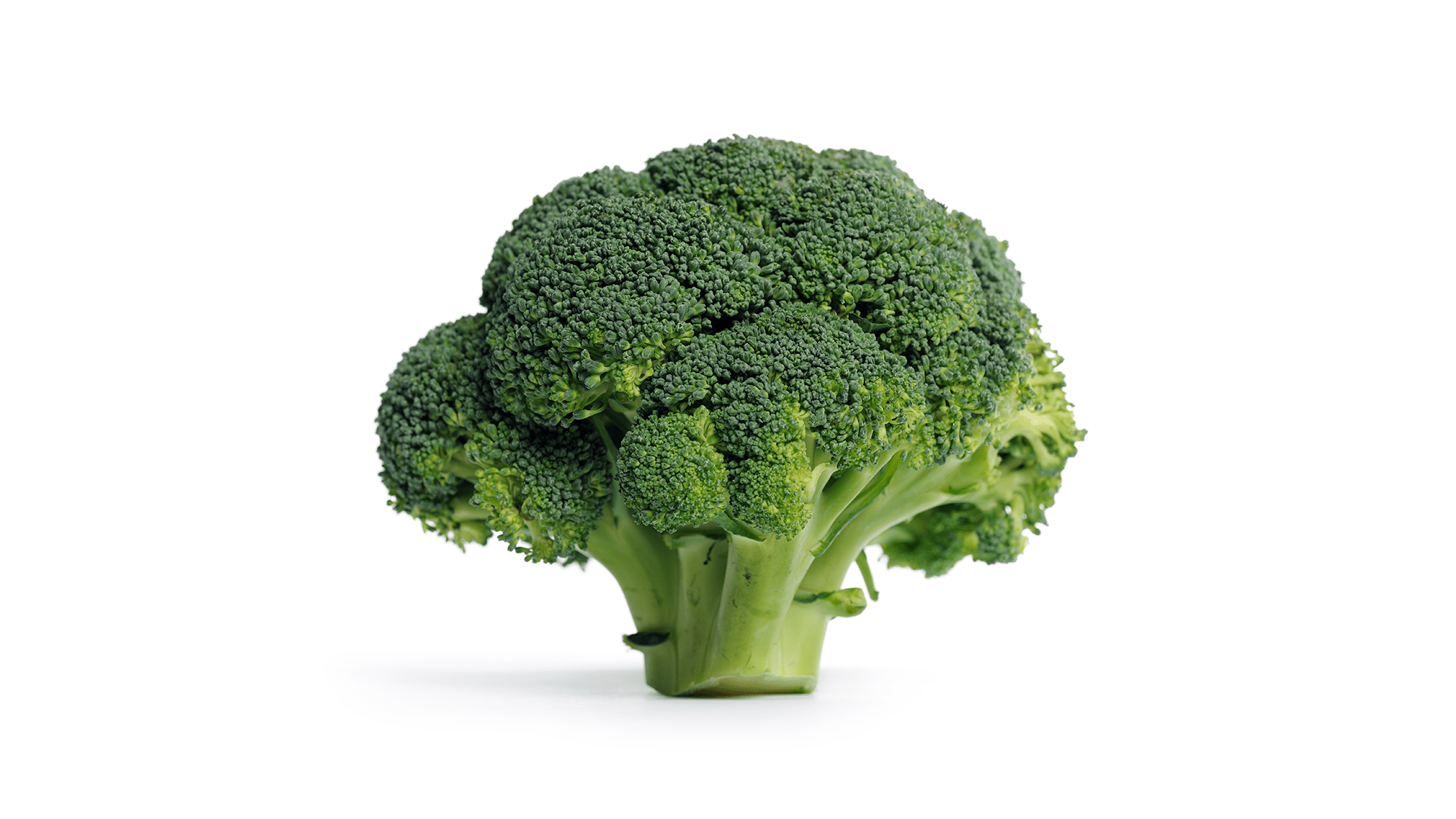 Silvo-broccoli-2000x1125
