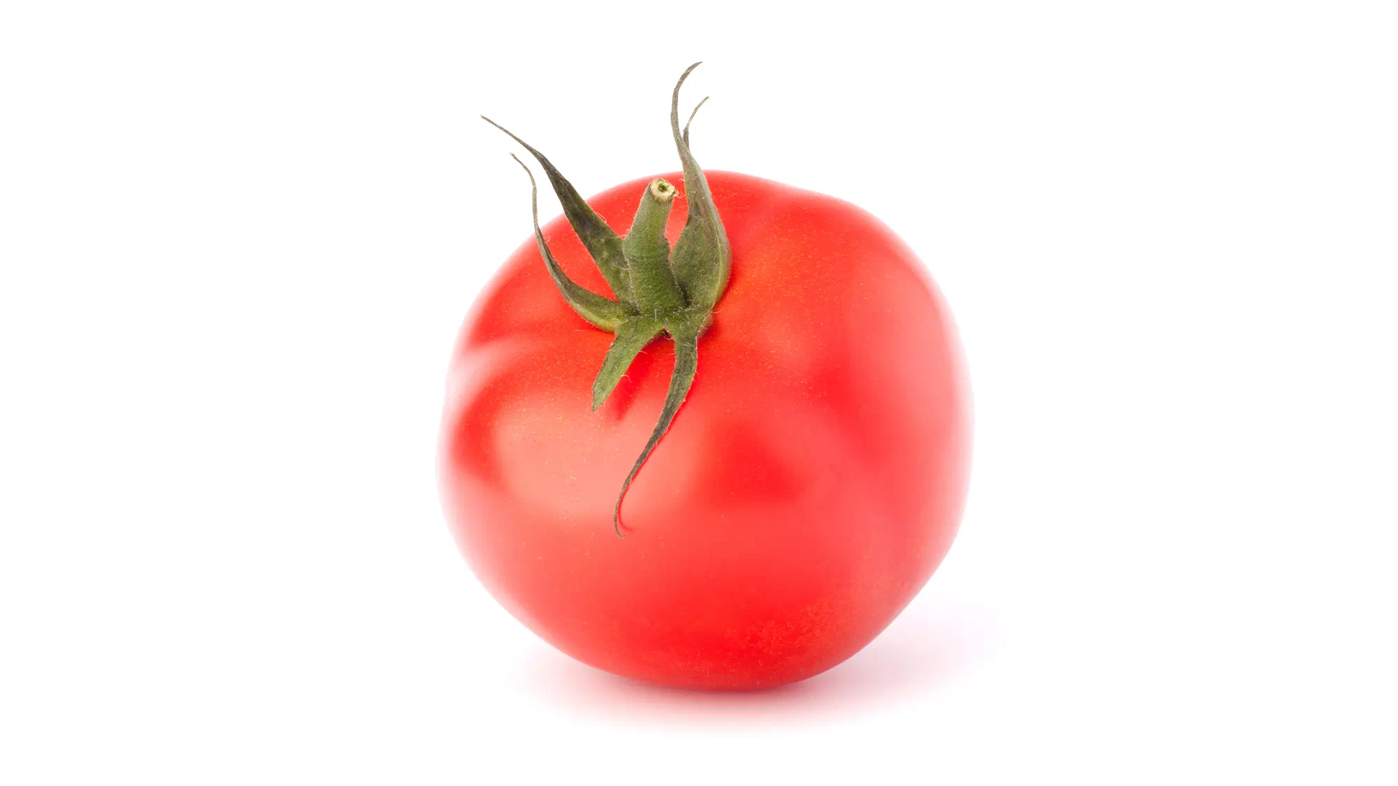 Hoe kruid je tomaat?