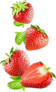 eng-strawberries eng-strawberries