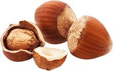 subgroup-nuts subgroup-nuts